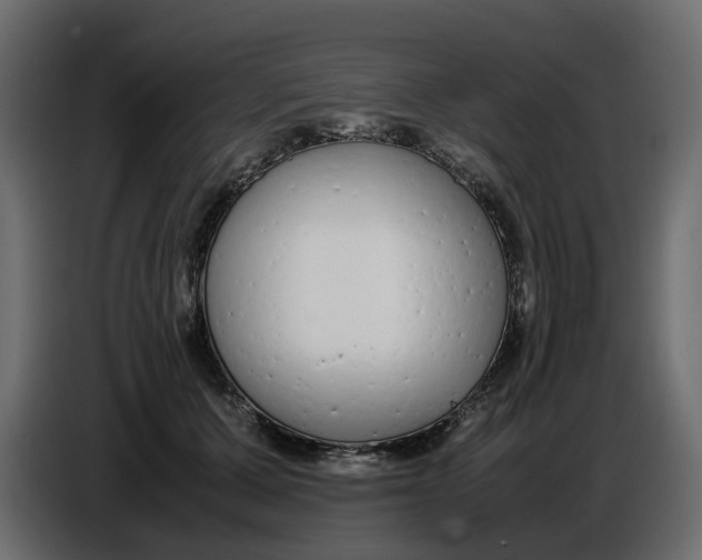 X0000086910607200705071305