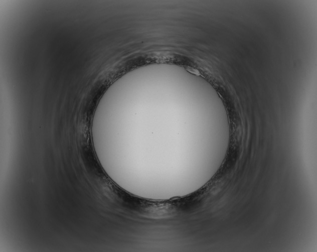 X0000086910609200705071305