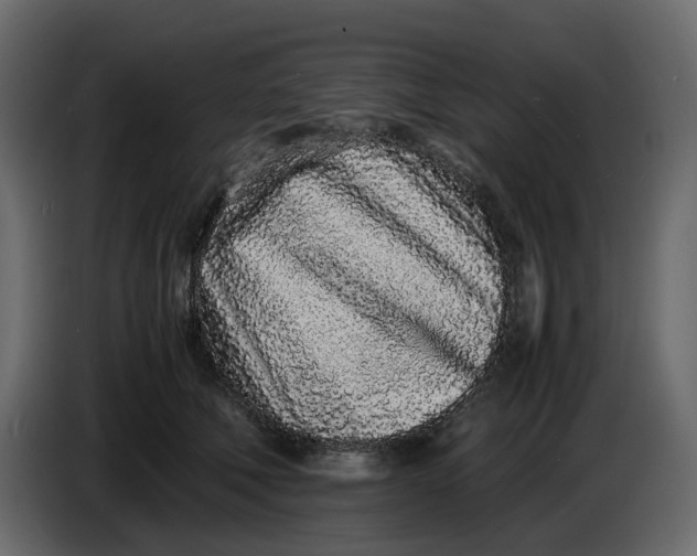 X0000086910610200705071305