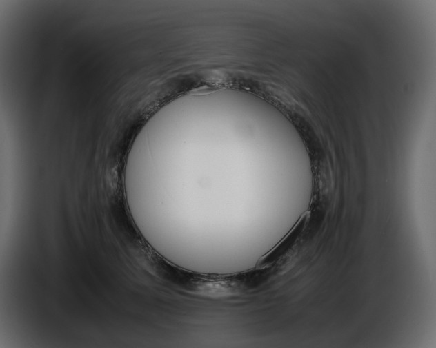 X0000086910611200705071305