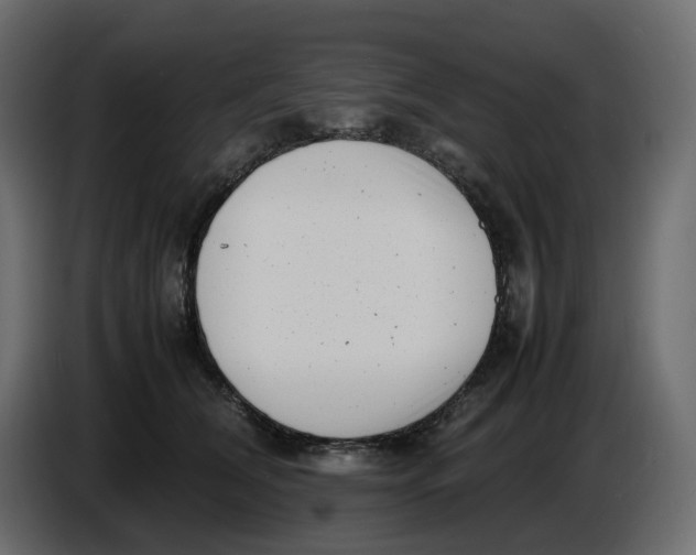 X0000086910612200705071305