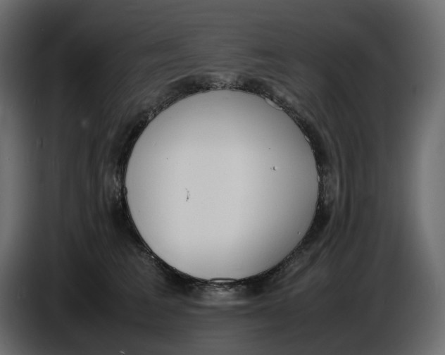 X0000086910613200705071305