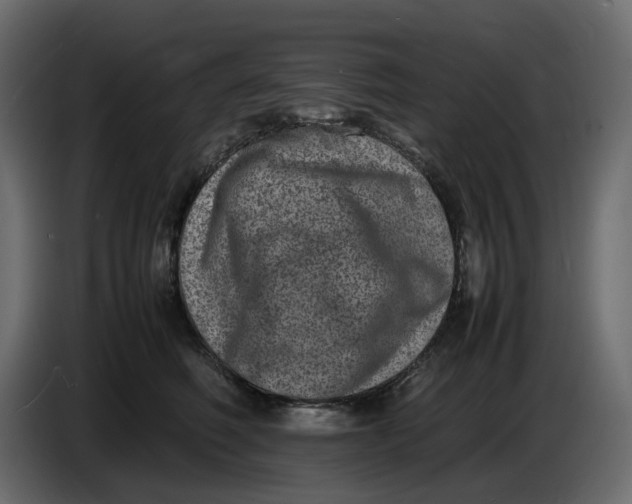 X0000086910614200705071305