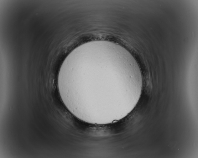 X0000086910615200705071305