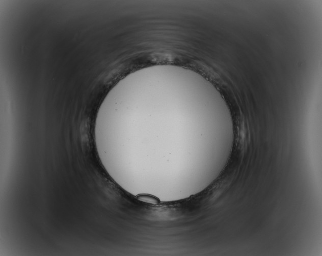 X0000086910616200705071305