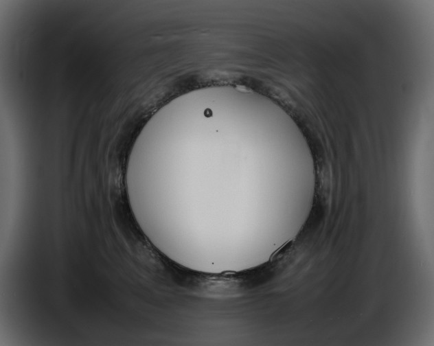 X0000086910617200705071305