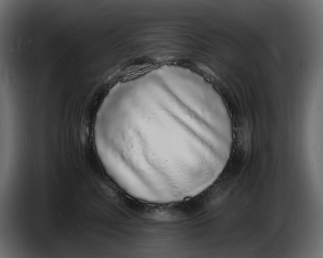 X0000086910618200705071305