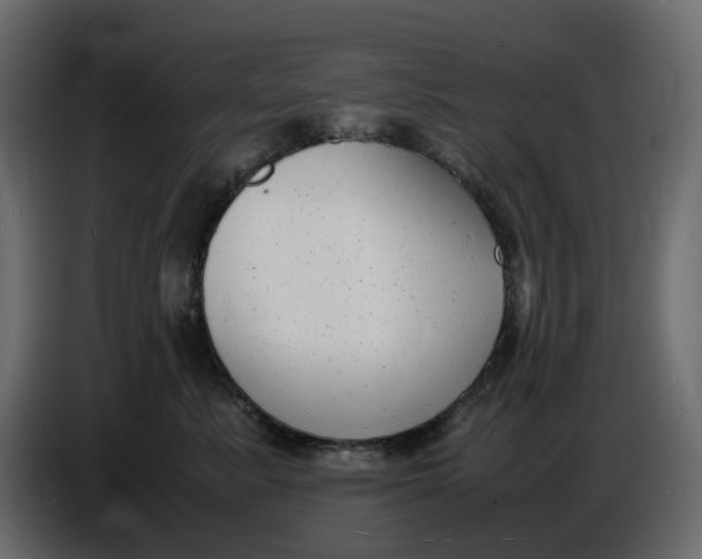 X0000086910619200705071305