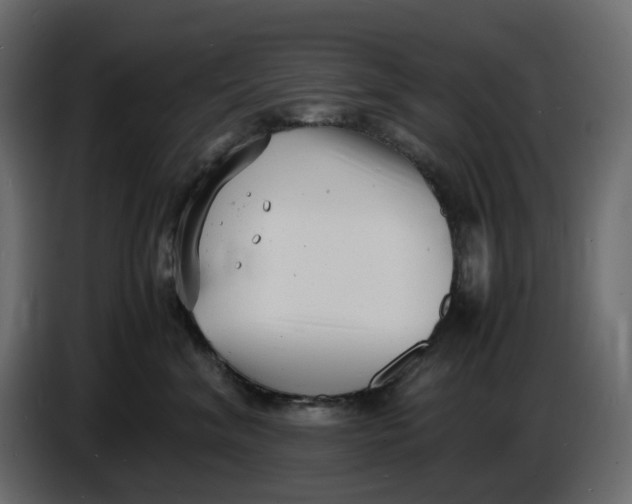 X0000086910620200705071305