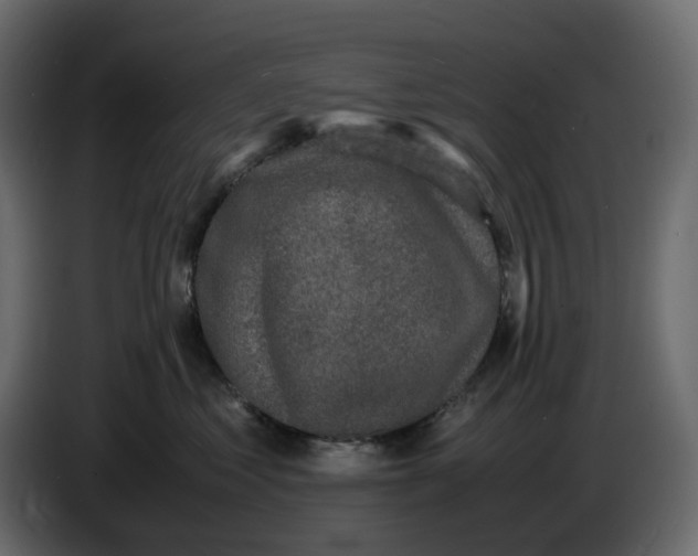 X0000086910621200705071305