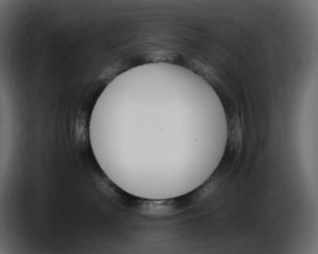 X0000086910622200705071305