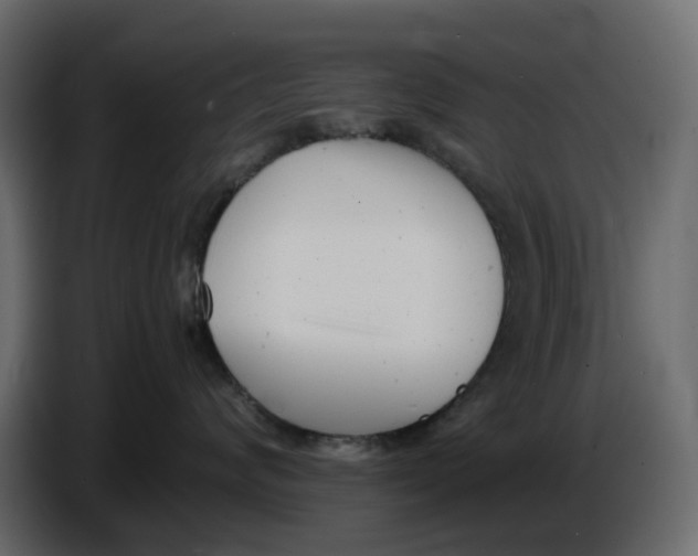 X0000086910624200705071305