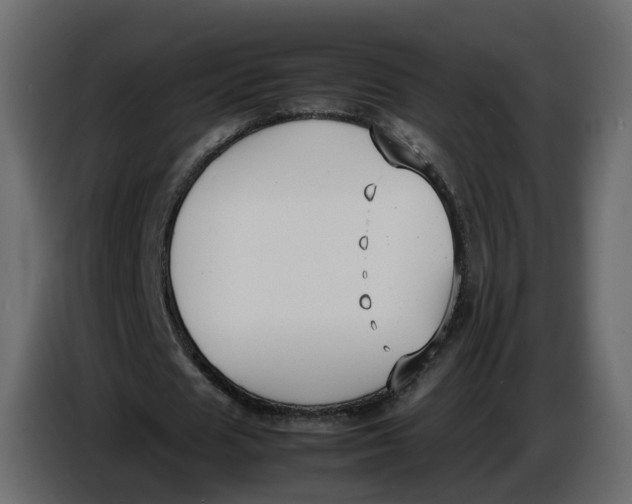 X0000086910625200705071304