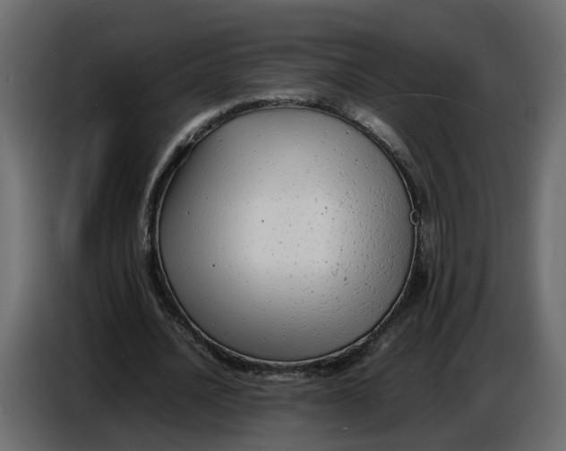 X0000086910628200705071304