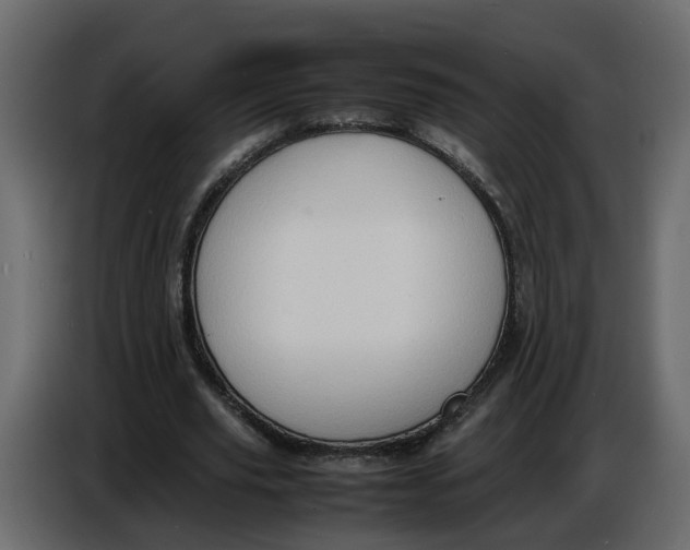 X0000086910629200705071304