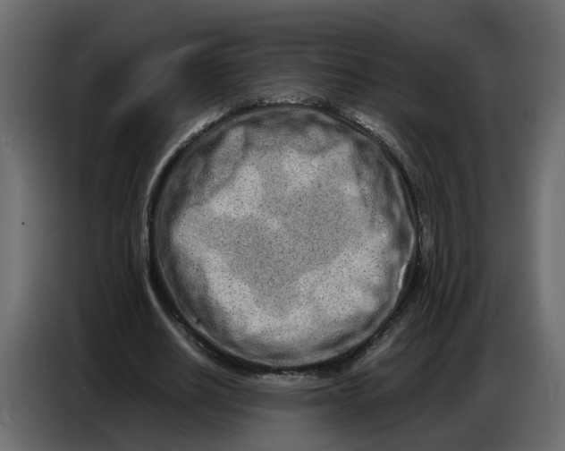 X0000086910630200705071304