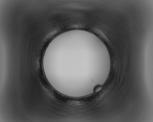 X0000086910635200705071304