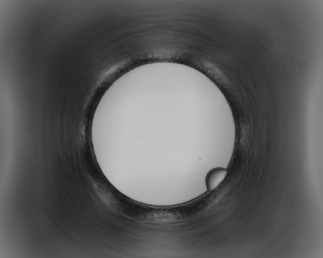 X0000086910636200705071304