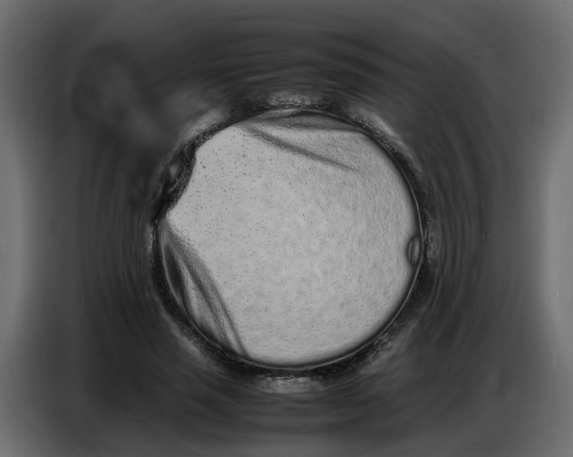 X0000086910637200705071304