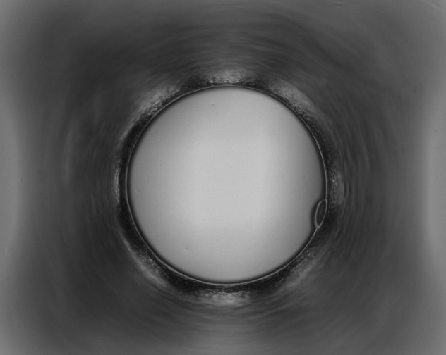 X0000086910638200705071304