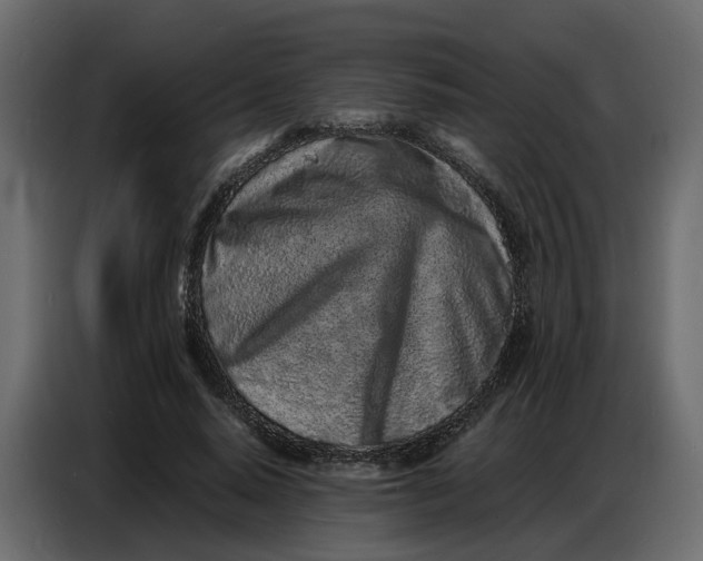 X0000086910640200705071304