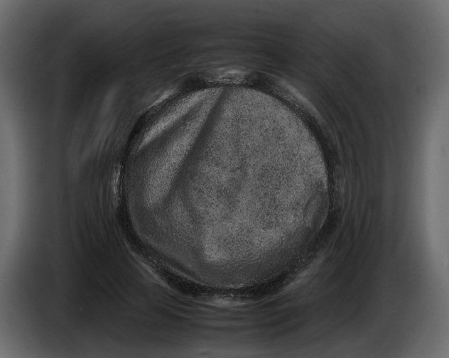 X0000086910641200705071304