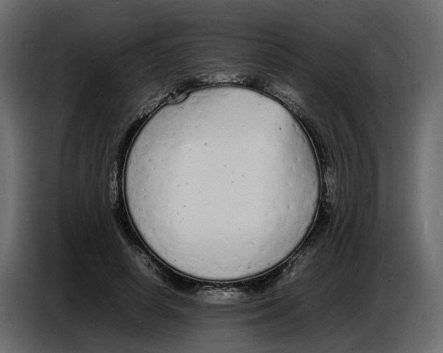 X0000086910642200705071304