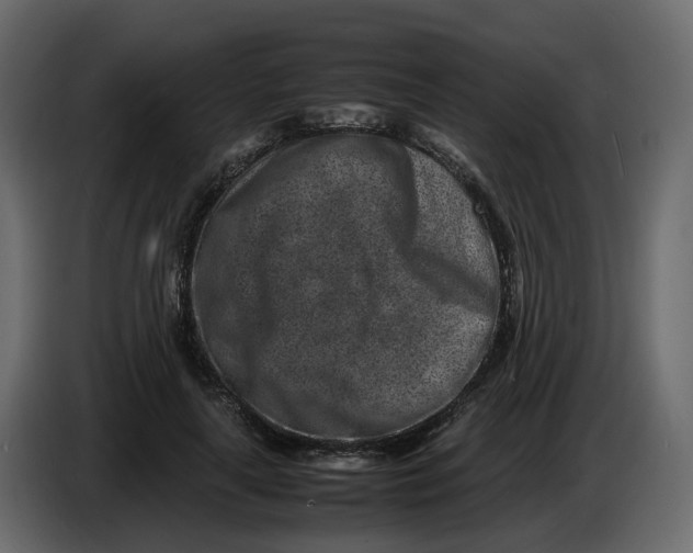 X0000086910643200705071304