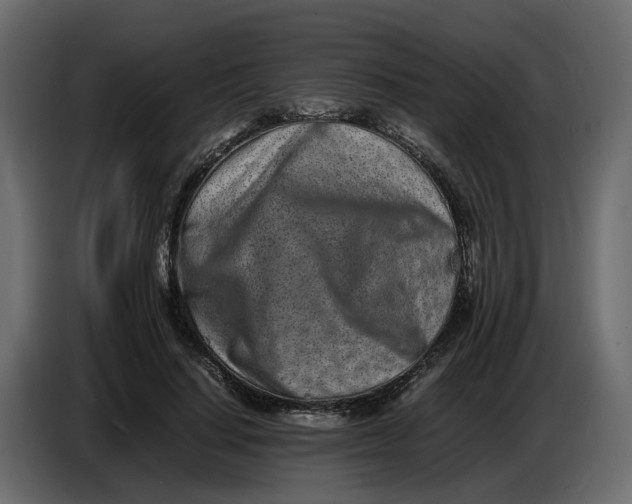 X0000086910644200705071305