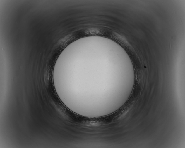 X0000086910645200705071305