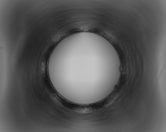 X0000086910646200705071305