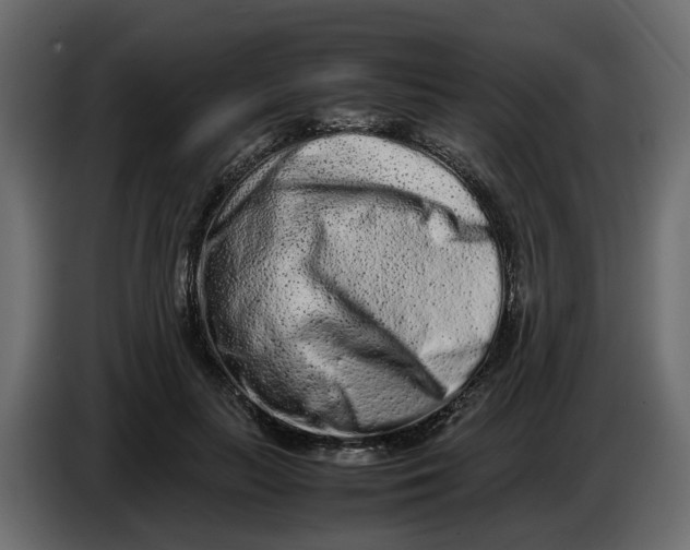 X0000086910647200705071305