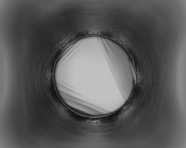 X0000086910648200705071305