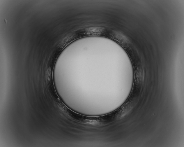 X0000086910649200705071305