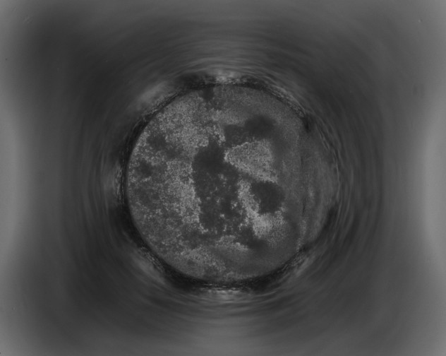 X0000086910650200705071305