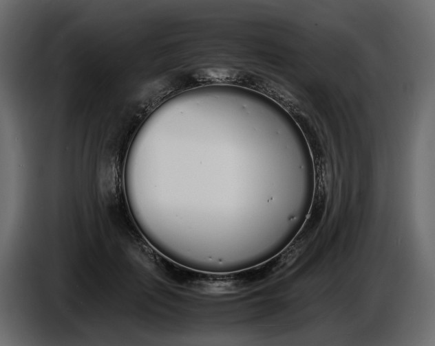 X0000086910651200705071305