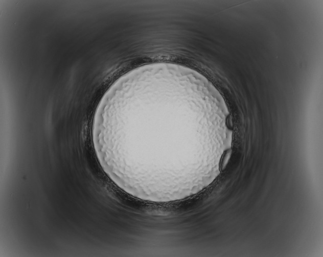 X0000086910652200705071305