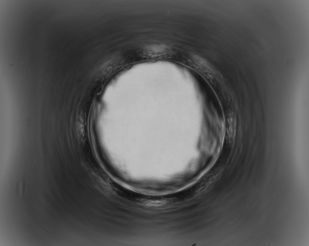 X0000086910653200705071305