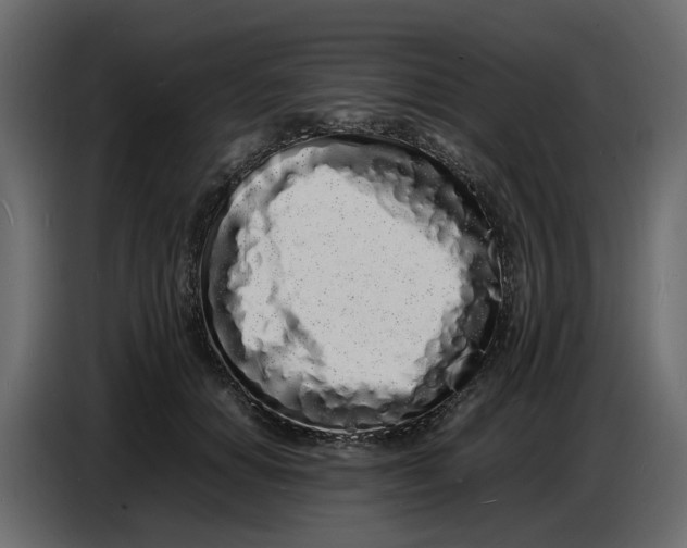 X0000086910654200705071305