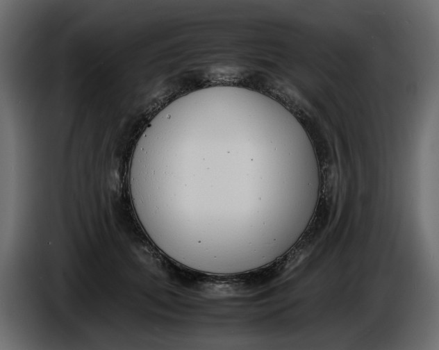 X0000086910655200705071305