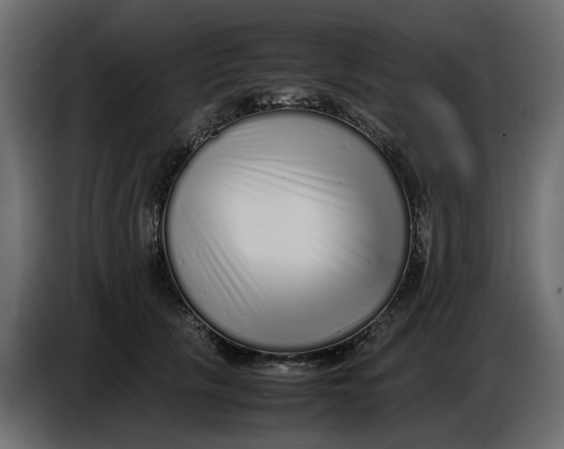 X0000086910657200705071305