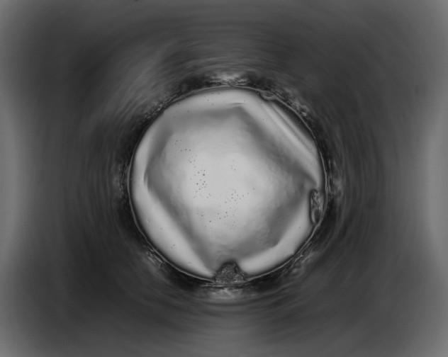 X0000086910658200705071305