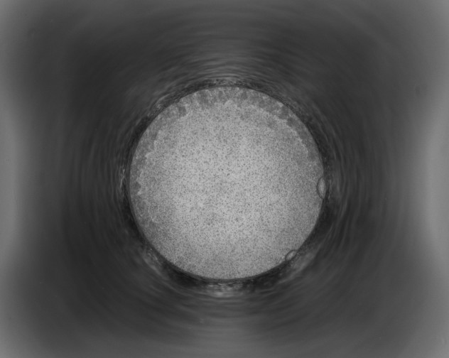 X0000086910660200705071305