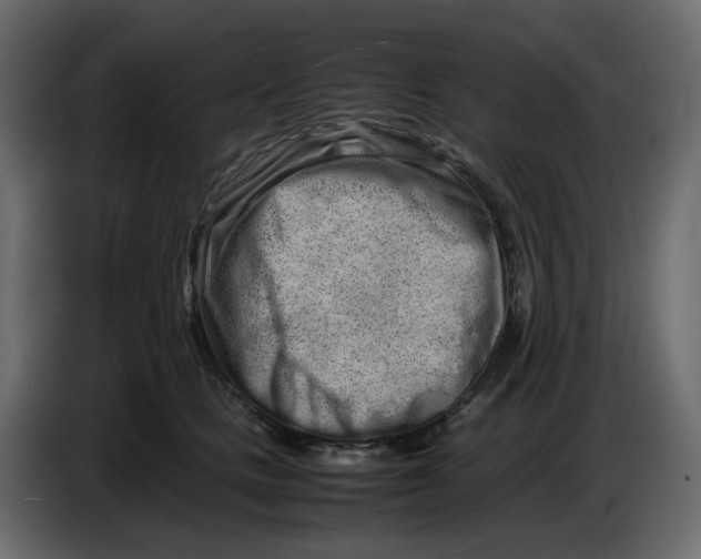 X0000086910661200705071305