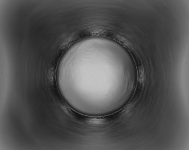 X0000086910664200705071305