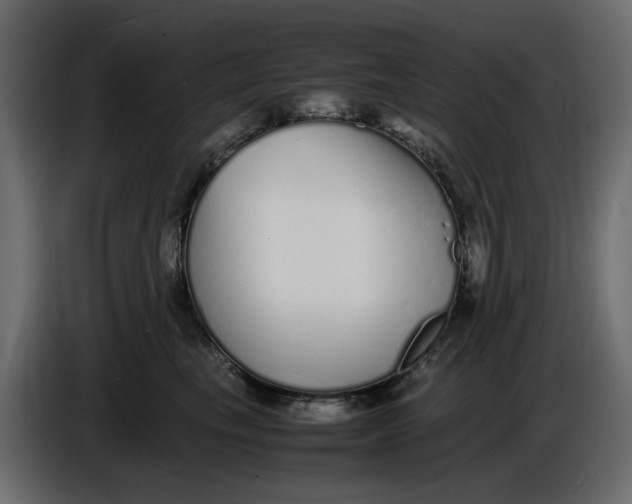 X0000086910665200705071305