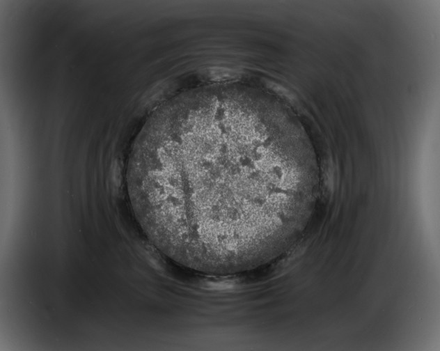 X0000086910667200705071305