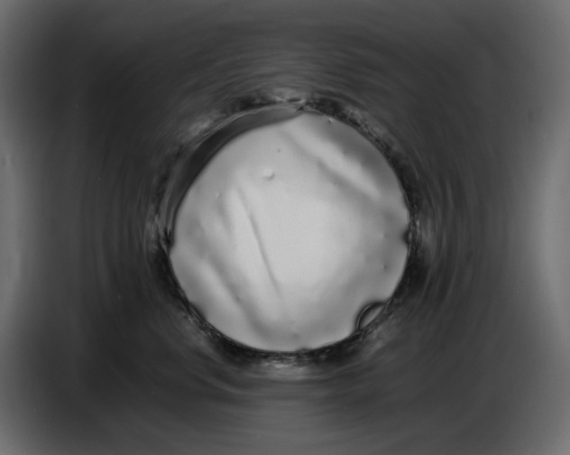 X0000086910668200705071305