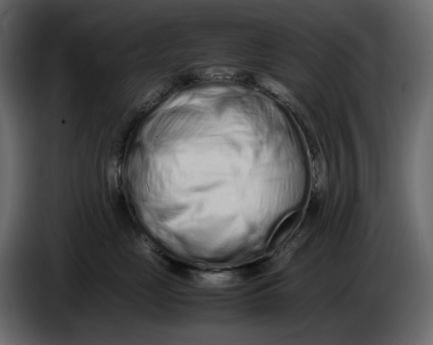 X0000086910669200705071305