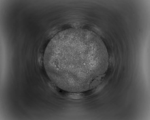 X0000086910671200705071305